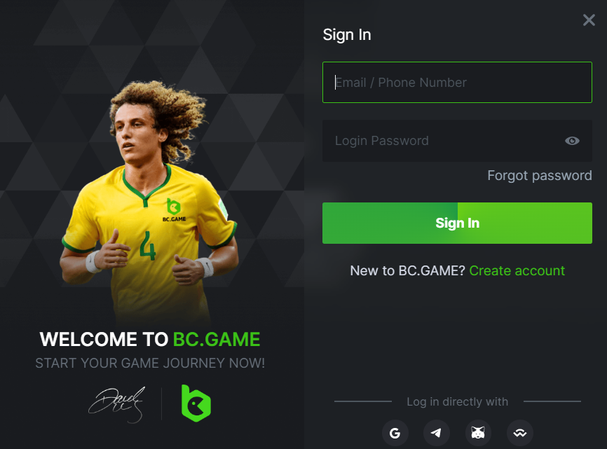 Reset Your BC.Game Account Password.